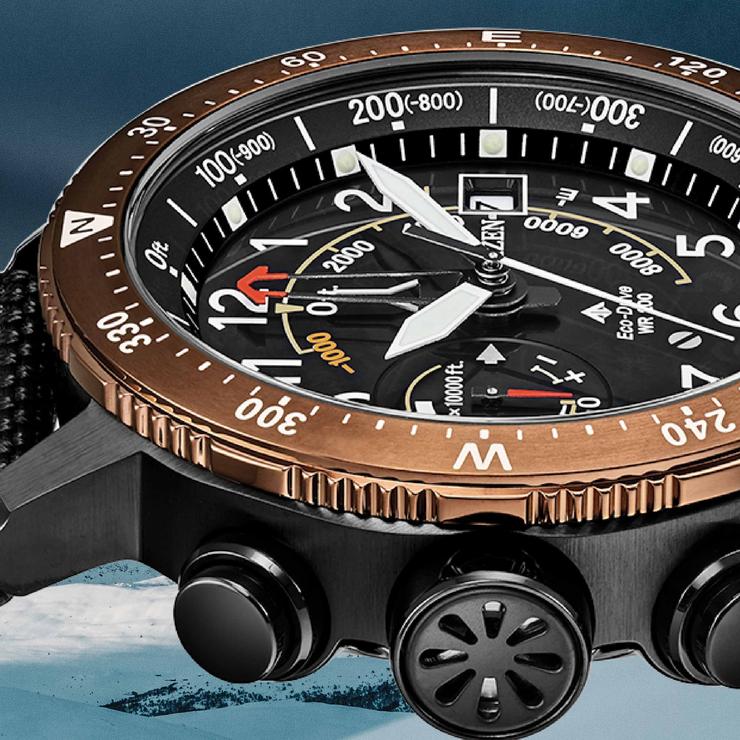 Promaster Altichron (Brown) | Citizen | Luby 