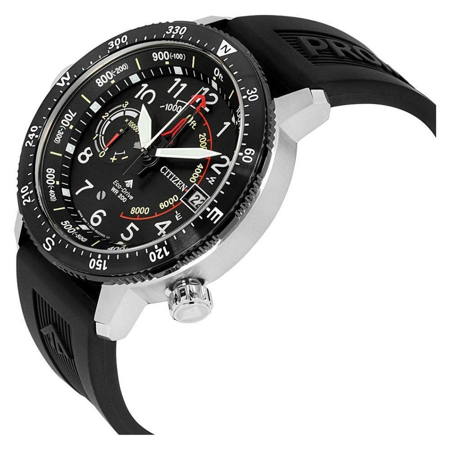 Promaster Altichron (Black) | Citizen | Luby 