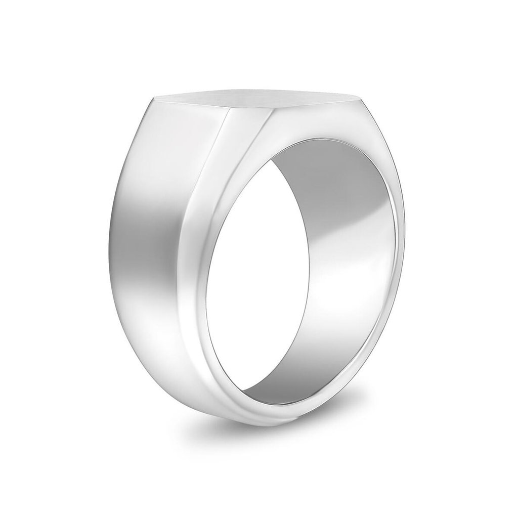 Stainless-Steel Matte Signet Ring | ARZ Steel | Luby 