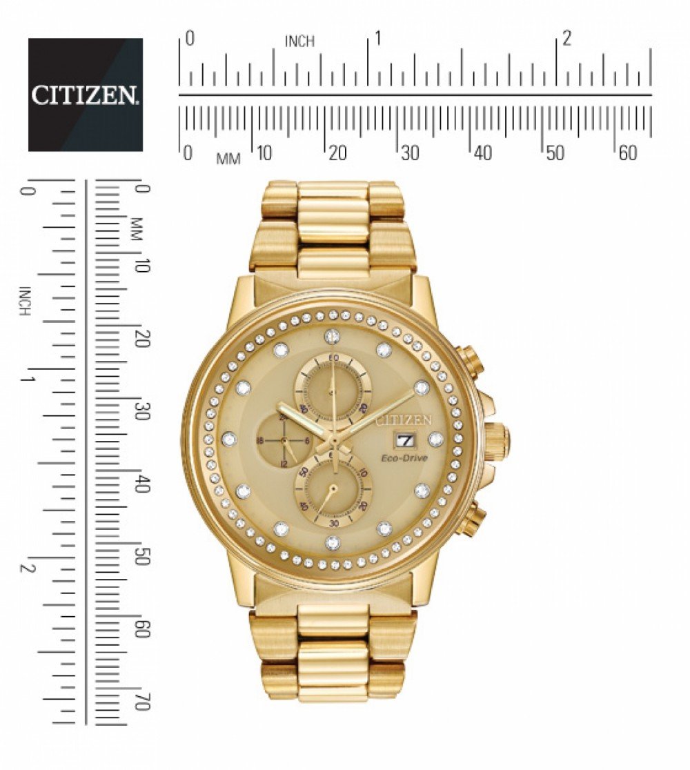 Chandler (Full Gold) | Citizen | Luby 