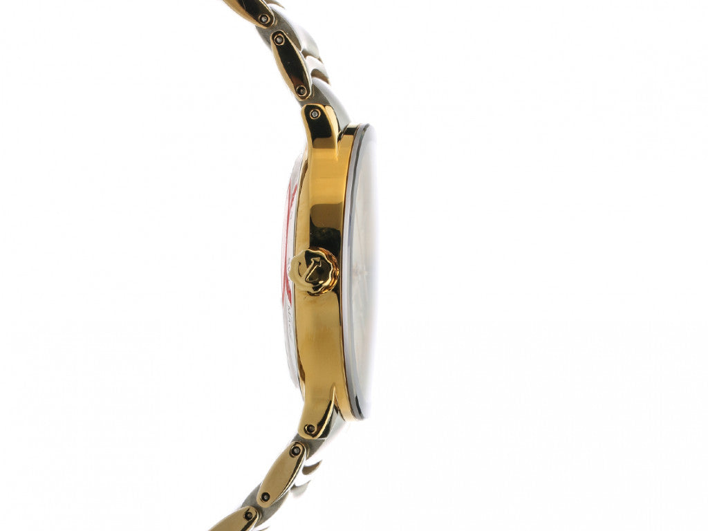 Centrix (Silver-Gold) | Rado | Luby 