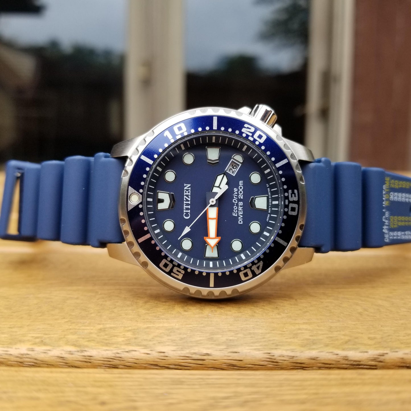 Promaster Diver (Silver/Blue) | Citizen | Luby 