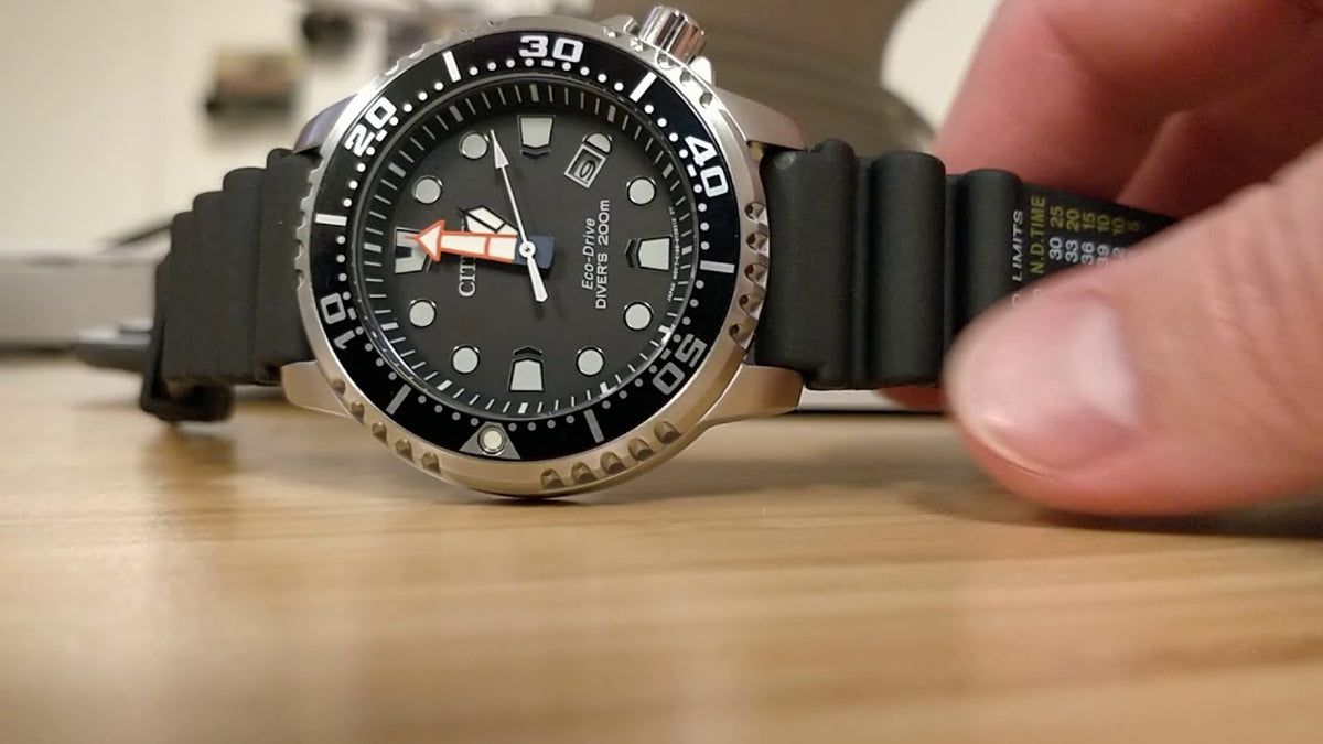 Promaster Diver (Silver-Black) | Citizen | Luby 