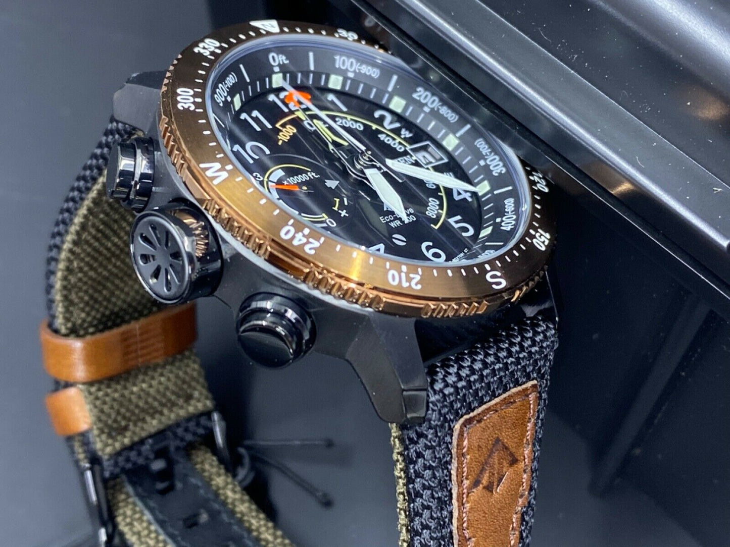 Promaster Altichron (Brown) | Citizen | Luby 
