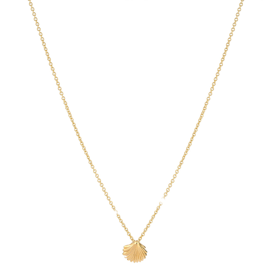 Seashell Luck Necklace | Rebecca | Luby 