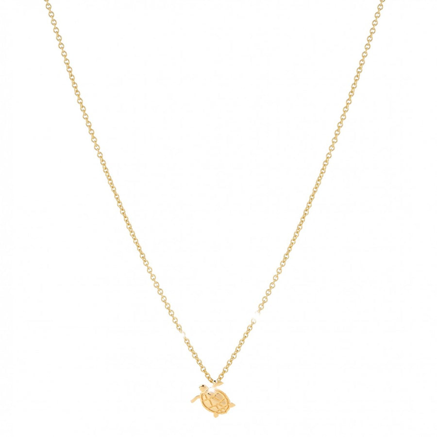 Turtle Resilience Necklace