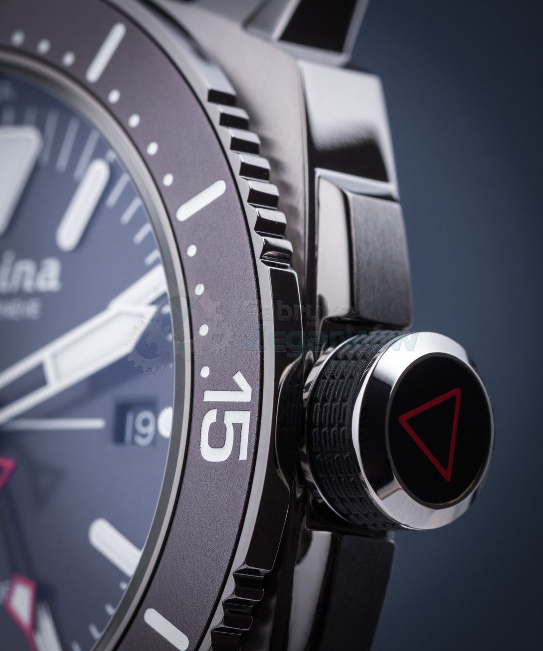 Seastrong Diver 300 GMT (Dark Green) | Alpina | Luby 